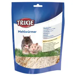 Gusanos de harina secos Trixie - 70 g