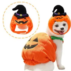 IntiMeg Sombrero de calabaza para perros - Sombrero