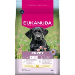 Eukanuba Puppy Large Pollo pienso para perros - 3 kg