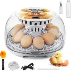 IntiMeg Incubadora automática para 12 huevos - Una pieza