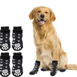 IntiMeg Calcetines antideslizantes para perros - L