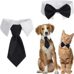 IntiMeg Juego de 2 corbatas y pajaritas para perros y gatos - Corbata + pajarita