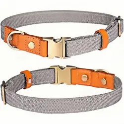 FurryFusion Collar para perro - Ajustable - Gris - Gris - (Talla M)