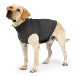 IntiMeg chaleco calmante para perros - METRO