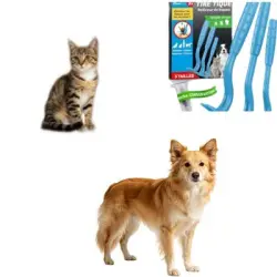 MCBOSON S/M/L (sin dolor) 3 extractores de garrapatas perros, gatos humanos - 1 artículo