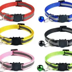 ZooVenture Collar de nailon para gato - 20-32 cm, con cascabel reflectante - Negro - Rojo - Amarillo - Azul - Rosa - Verde claro