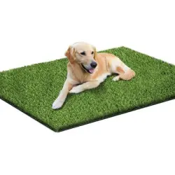Pawffee Alfombra césped 50x70cm para perros, lavable, higiene del cachorro - 1 pieza
