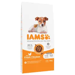 IAMS Advanced Nutrition Puppy Small / Medium Breed con pollo - 12 kg