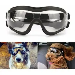 Pawffee Gafas impermeables antiviento para perros grandes - 1 pieza