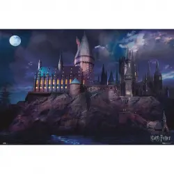 Erik Maxi Póster Harry Potter Hogwarts 91.5x61cm