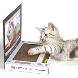 UAMLY Rascador de cartón para gatos, juguete para portátil - 1 pieza