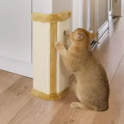HausPets Rascador de pared para gatos - Una pieza