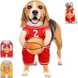 IntiMeg Disfraz de jugador de baloncesto - METRO