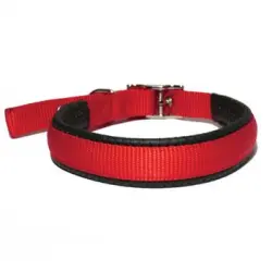 Rosewood Collar Nylon Neopreno Hebilla Rojo 50cm X 20mm