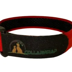 Funda Collar Aniparasitario - COLLARWRAP