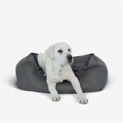 IntiMeg Cesta, sofá y cama para perros de piel sintética impermeable - L: 77*57*20 cm