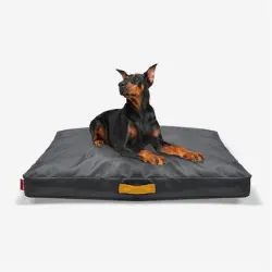 IntiMeg Cojín de sofá Oxford para perros - M: 76*51*7,5 cm