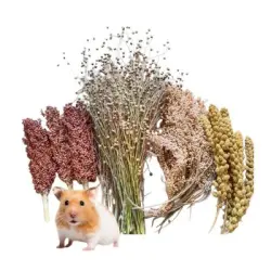 FurryFusion granos de cereal para hámster - Artículo 1