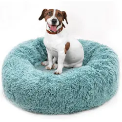 Fpets Cama para Mascotas - 50 cm x 50 cm x 26 cm