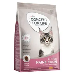 Concept for Life Maine Coon Kitten - Receta mejorada - NUEVO: 3 kg