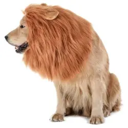 IntiMeg Tocado de león de fantasía de Halloween para perros - L: Circunferencia del cuello 80 cm