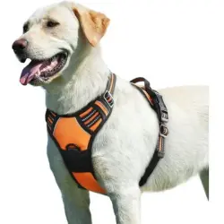 Pawffee Arnés para perros grandes: modelo ajustable reflectante antitirones - 1 pieza
