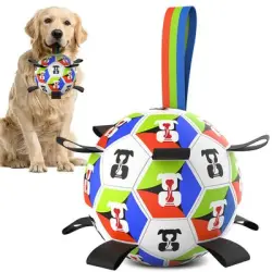 Pawffee Fútbol interactivo para perros - Artículo 1