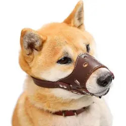 MCBOSON Bozal ajustable de cuero suave marrón para perros - Una pieza
