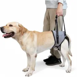 ZooVenture Arnés para levantar perros - METRO