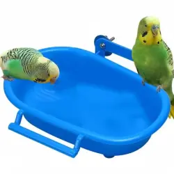 ZooVenture Baño colgante para pájaros de PP - 1 pieza