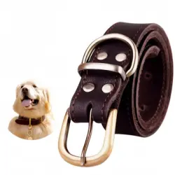 FurryFusion collar de cuero para perro - METRO