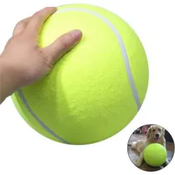 HausPets Pelota de tenis inflable grande de 24 cm – Para exteriores - Inflable de 24 cm