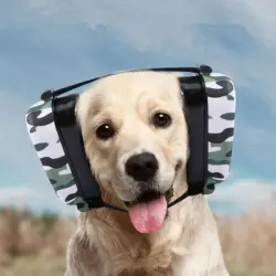 HausPets Protección auditiva perros, orejeras bloquear ruido fuegos - Artículo 1