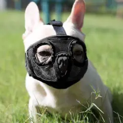 MCBOSON Bozal para perros de hocico corto - METRO
