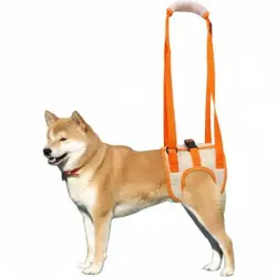 ZooVenture Arnés para levantar perros - METRO