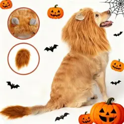 IntiMeg Halloween: Disfraz de león con melena y orejas para perro - S
