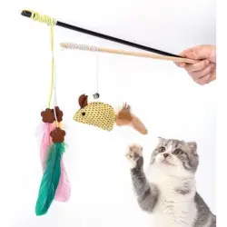 Pawffee 2 cañas de pescar para gatos, juguetes de plumas para gatitos - 1 pieza