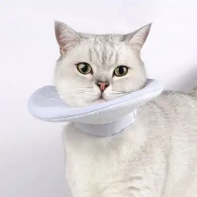 IntiMeg collar protector para gatos - Circunferencia del cuello L 21-32 cm, profundidad 16 cm - IntiMeg - Comparador de precios