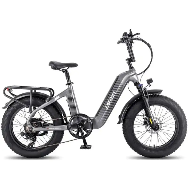 Fafrees F20 Master Bicicleta Eléctrica 500W Batería 1080Wh Autonomía 110km Gris Plomizo