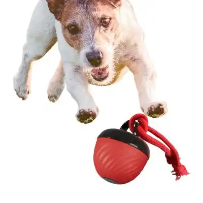 Coco Pup Pelota interactiva para perros - Una pieza - Coco Pup - Comparador de precios
