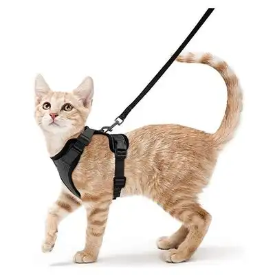 UAMLY Arnés y correa reflectantes para gatos (negro) - XS negro - Uamly - Comparador de precios