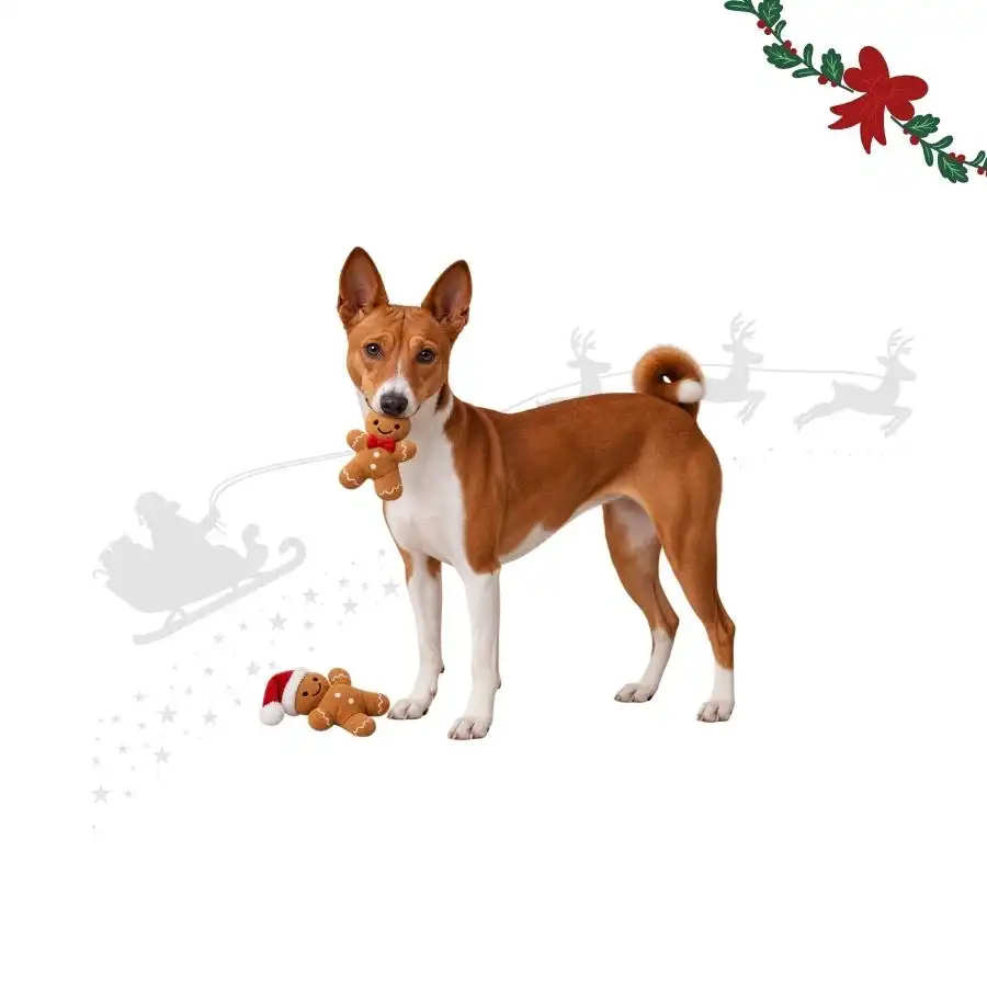 Wonder Christmas Amigos Navideños Jengibre  para perros 2 uds. - Wonder Christmas - Comparador de precios