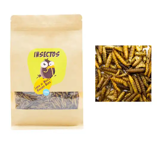 Larvas de Mosca Soldado Negra para Pájaros, Peces, Tortugas, Roedores y Reptiles – 400g - Black Soldier Fly – Snack de proteínas para Animales
