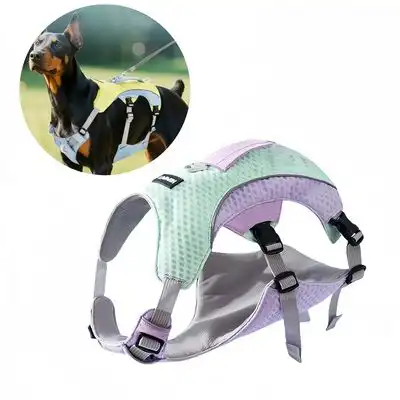 Pet Planet Arnés refrescante para perros de verano - Morado Verde XXL - Pet Planet - Comparador de precios