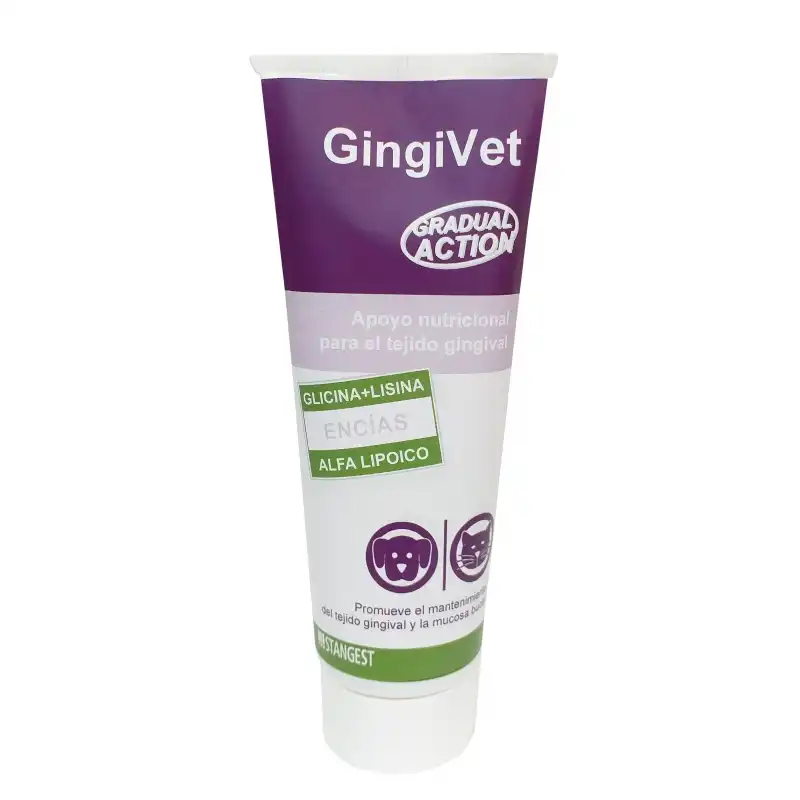 100gr Stangest Dog Gingivet Pasta para perros - Stangest - Comparador de precios