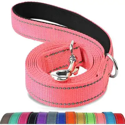 HausPets Correa reflectante turquesa para perros de 1,5 m - 1 artículo - HausPets - Comparador de precios