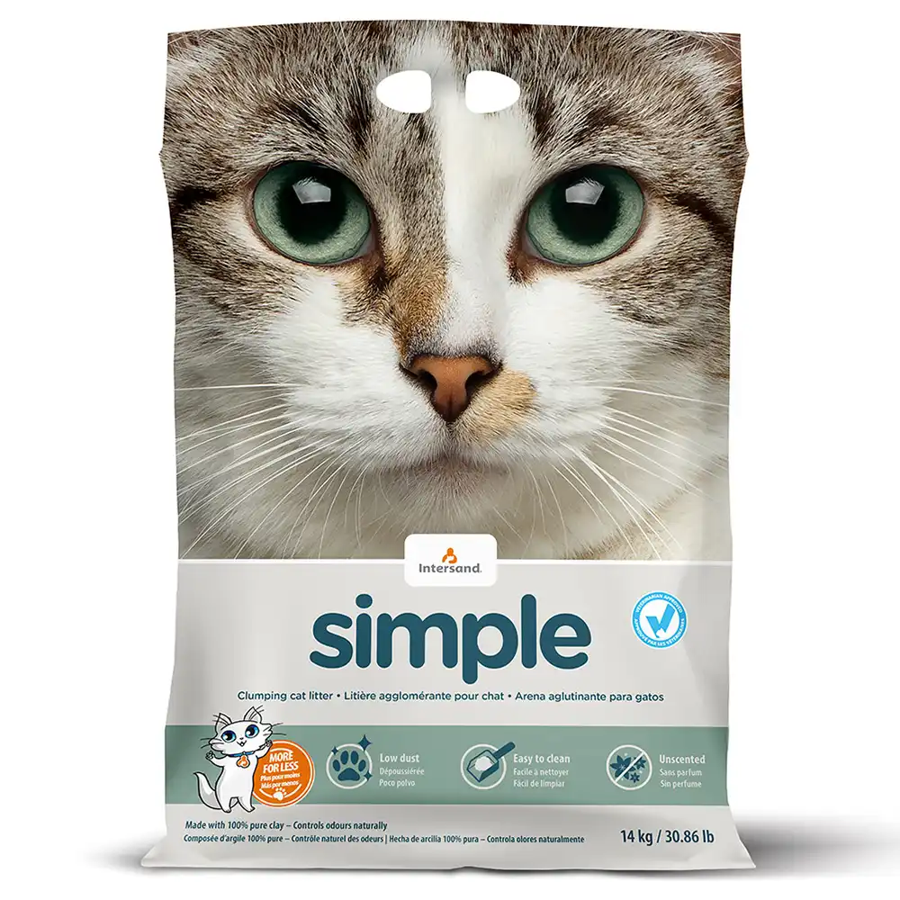Intersand Simple arena aglomerante - 10 kg