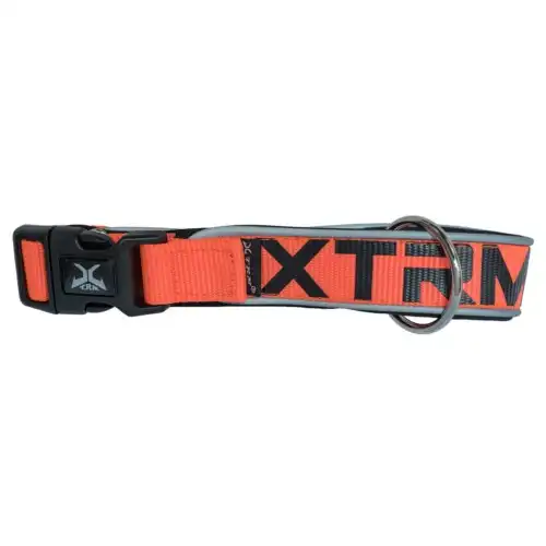 X-TRM Neon Flash Collar Naranja para perros - X-TRM - Comparador de precios