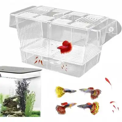 ZooVenture Caja de aislamiento transparente para acuario - L - Zooventure - Comparador de precios