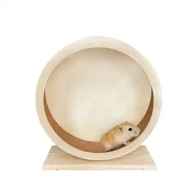 IntiMeg Rueda silenciosa para roedores - Diámetro promedio 19,5 cm - IntiMeg - Comparador de precios